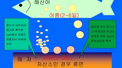 백점충의 생활사